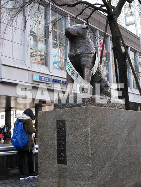 渋谷忠犬ハチ公像
