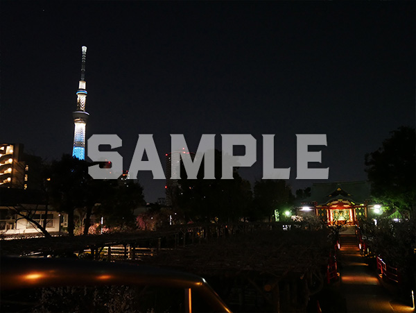 東京スカイツリー 夜景 1