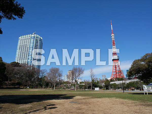 芝公園から見える東京タワー 1