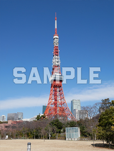 芝公園から見える東京タワー 4
