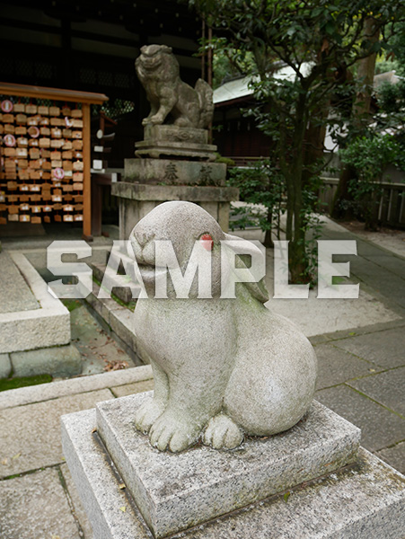 京都 岡崎神社の狛うさぎ 3
