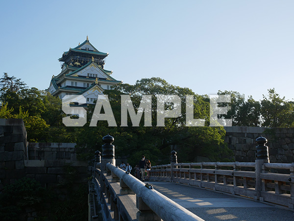 大阪城天守閣を極楽橋から望む 2