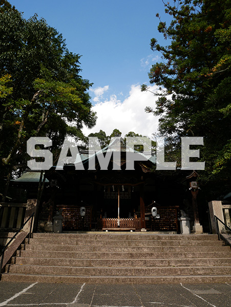 京都 岡崎神社 本殿 2